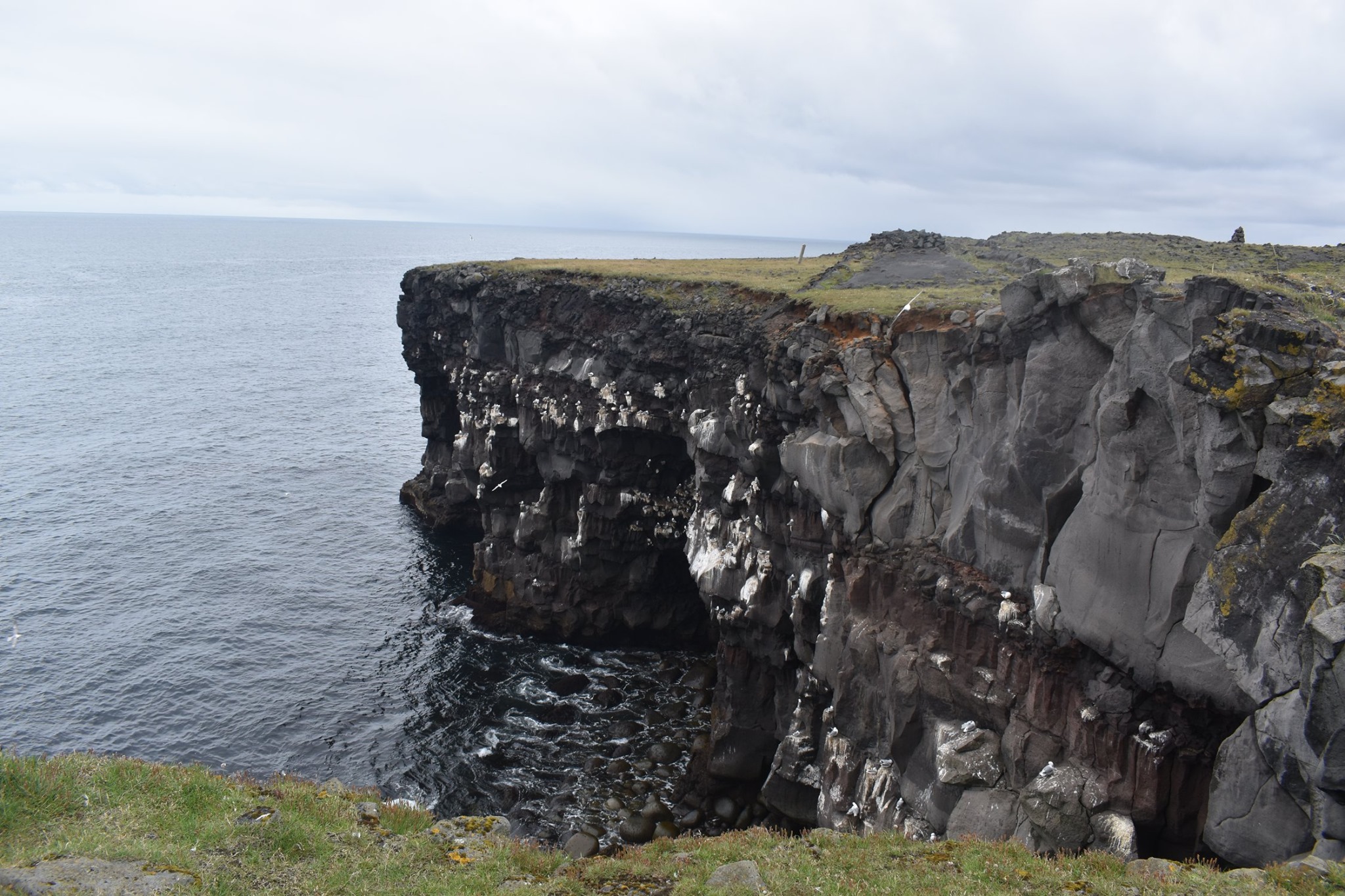 hafnarberg-sea-cliffs